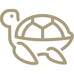 002-turtle
